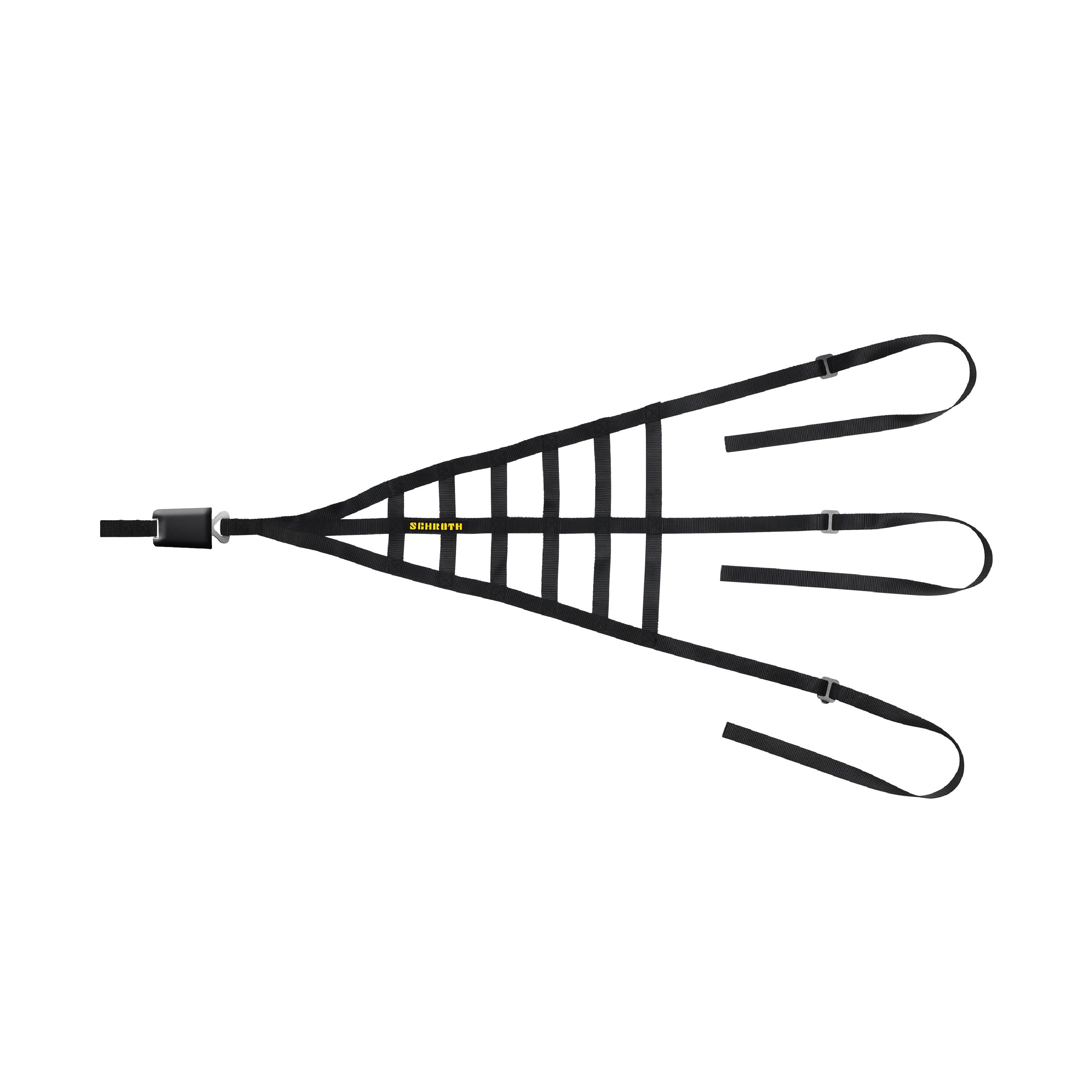 Schroth Interior Net FIA